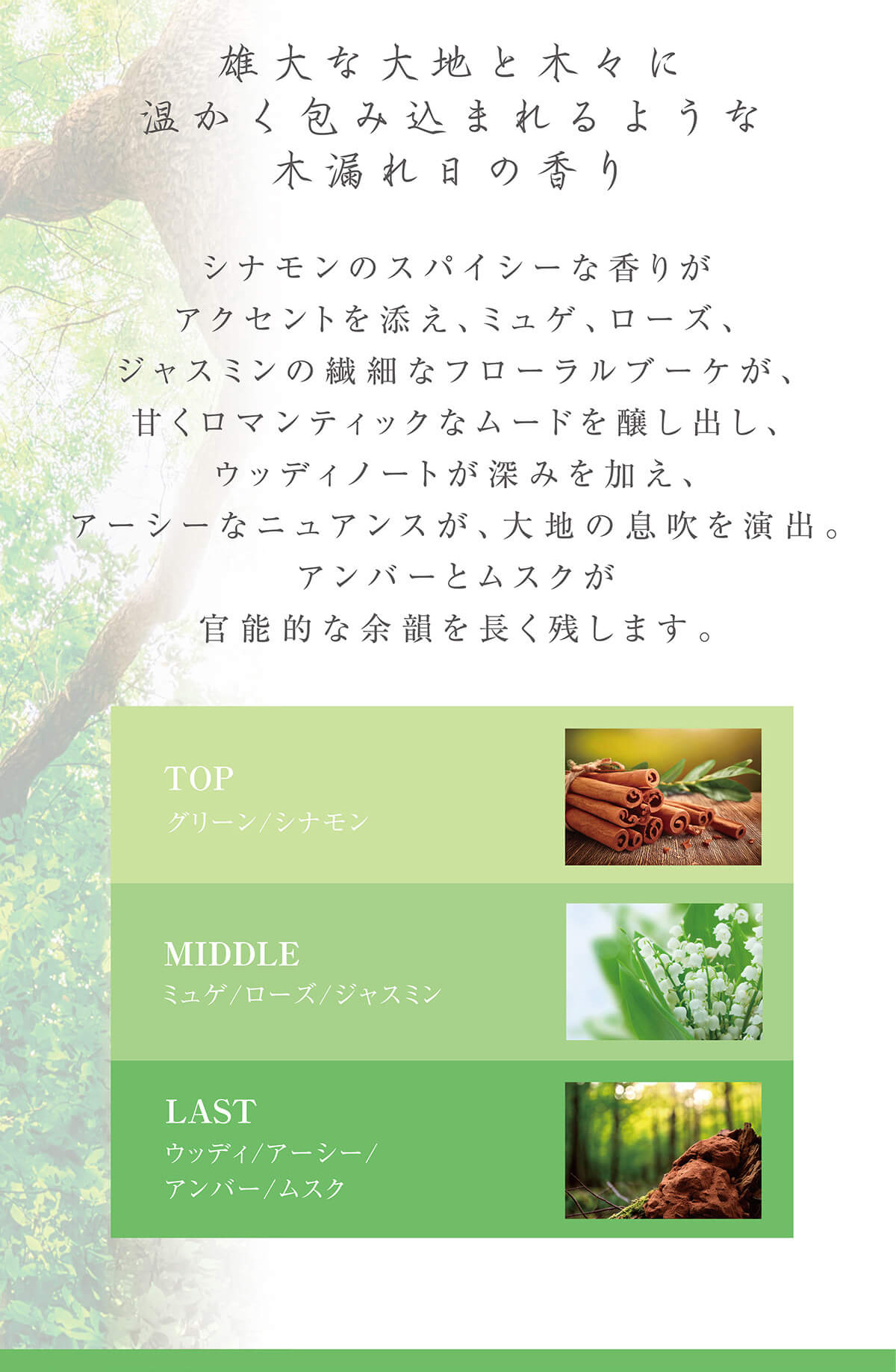 エメラルドガーデンの香り～雄大な大地と木々に温かく包み込まれるような木漏れ日の香り～