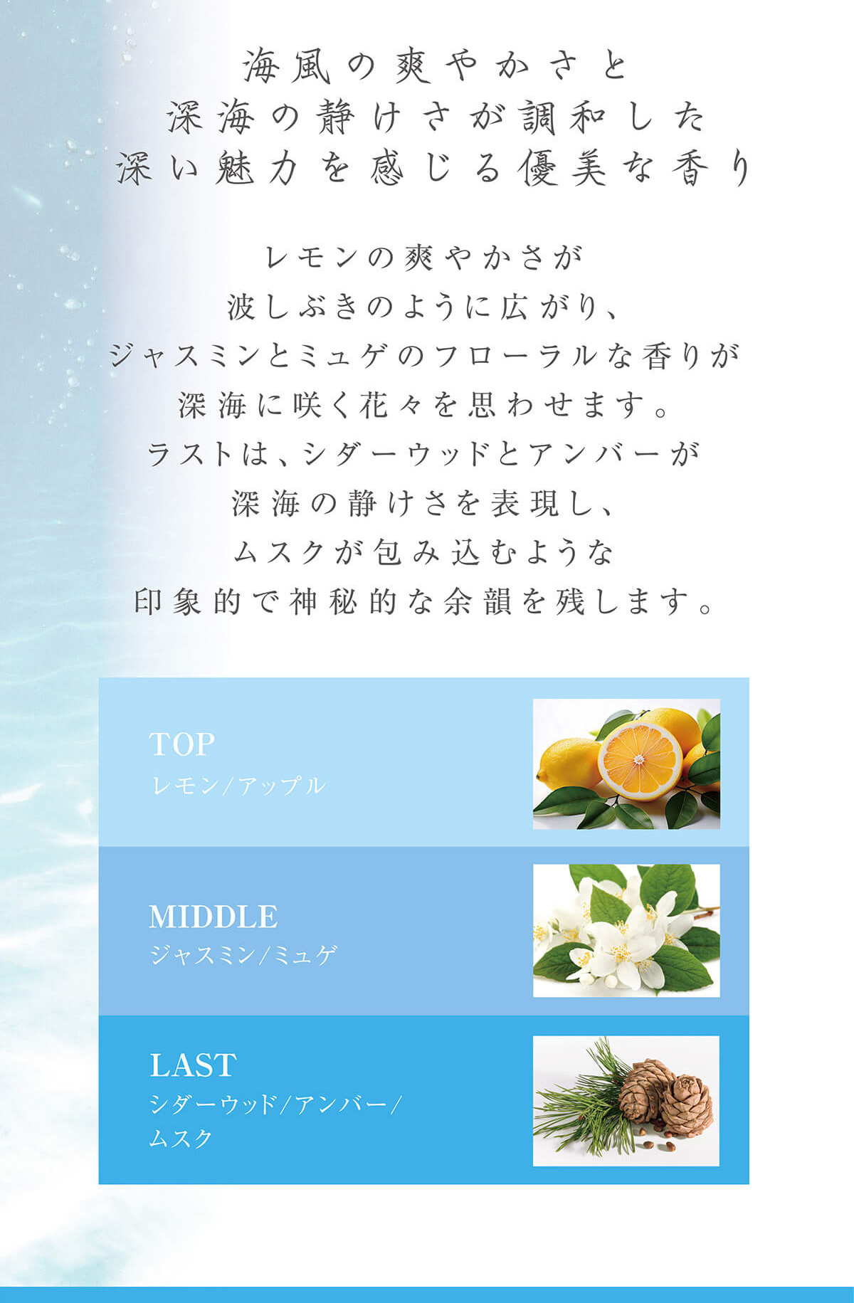 オーシャンブルームの香り～海風の爽やかさと深海の静けさが調和した深い魅力を感じる優美な香り～