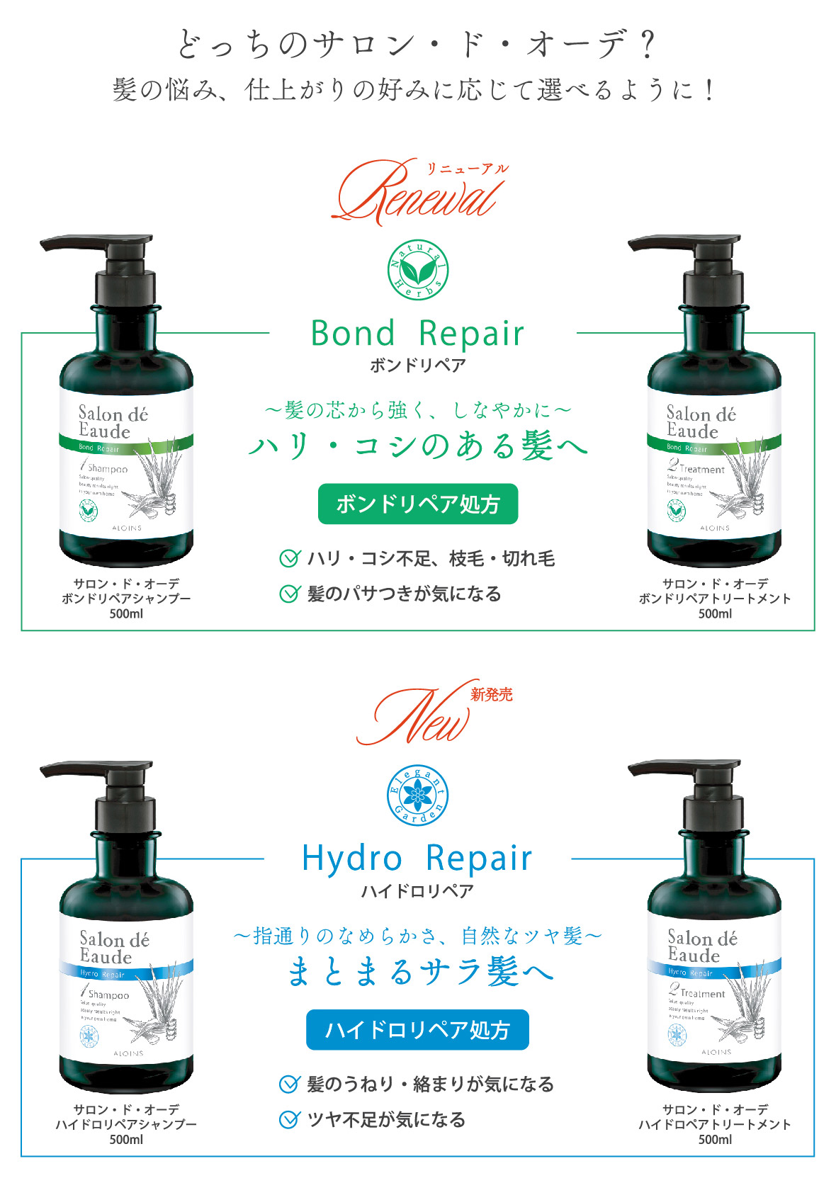 リニューアル&新発売!!