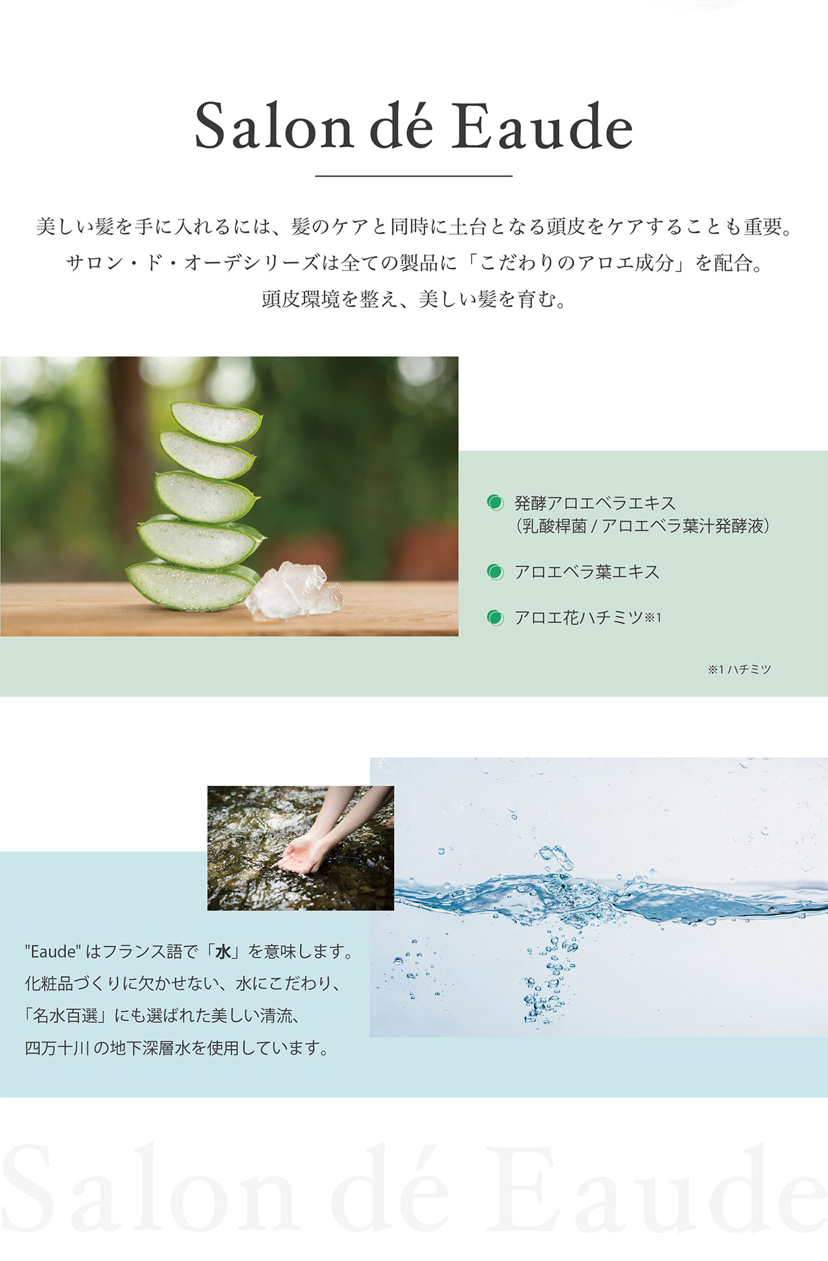 こだわりのアロエ成分を配合。頭皮環境を整え、美しい髪を育む。