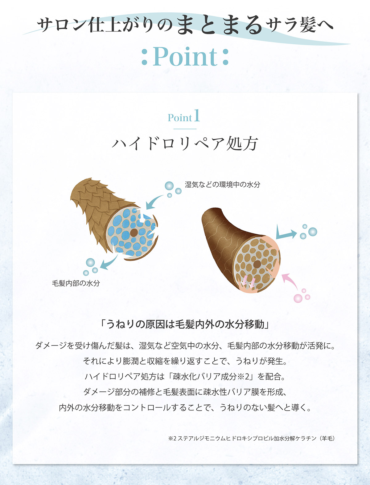 ハイドロリペア処方 サロン仕上がりのまとまるサラ髪へ