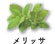 メリッサ